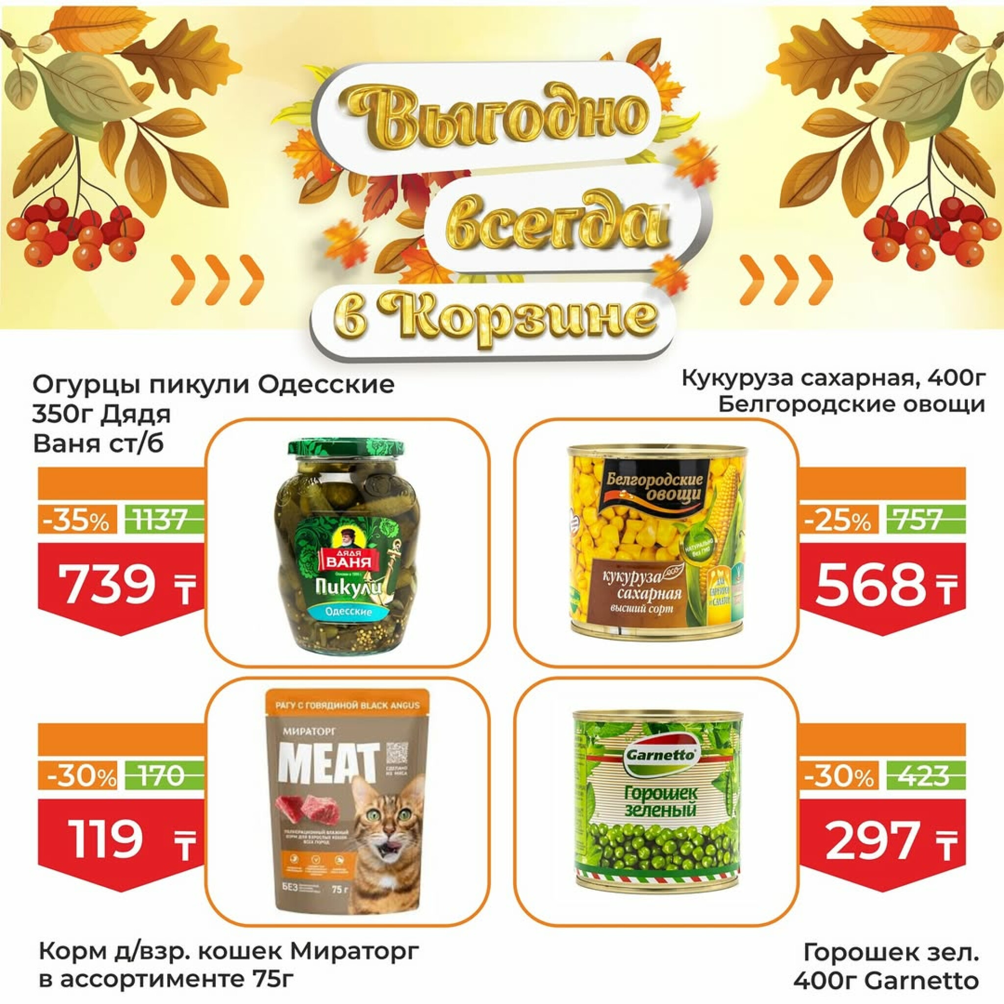 Акционная листовка! 1  - 15 Октября 2025 5