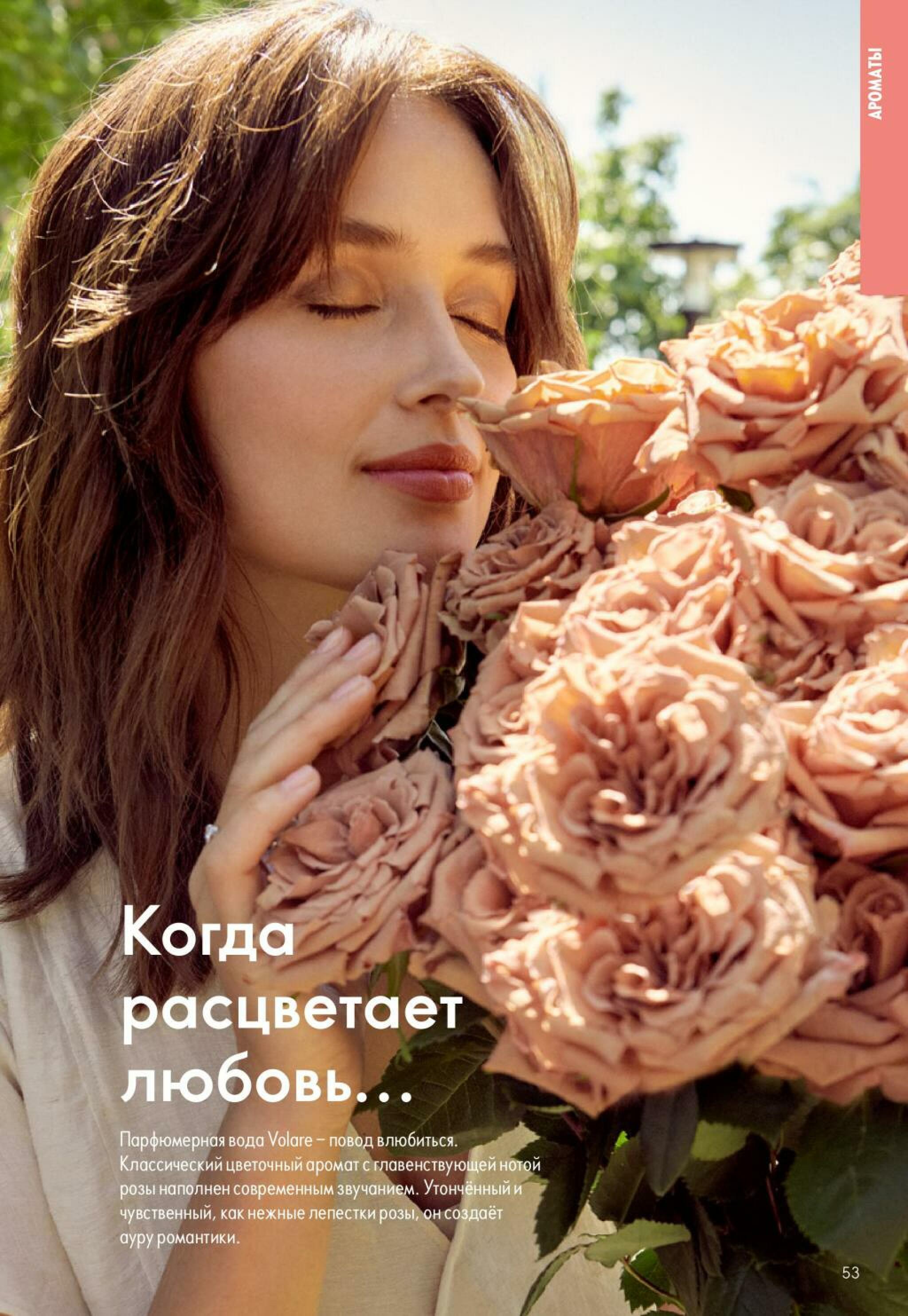 Каталог 4  - 24 Октября 2026 53