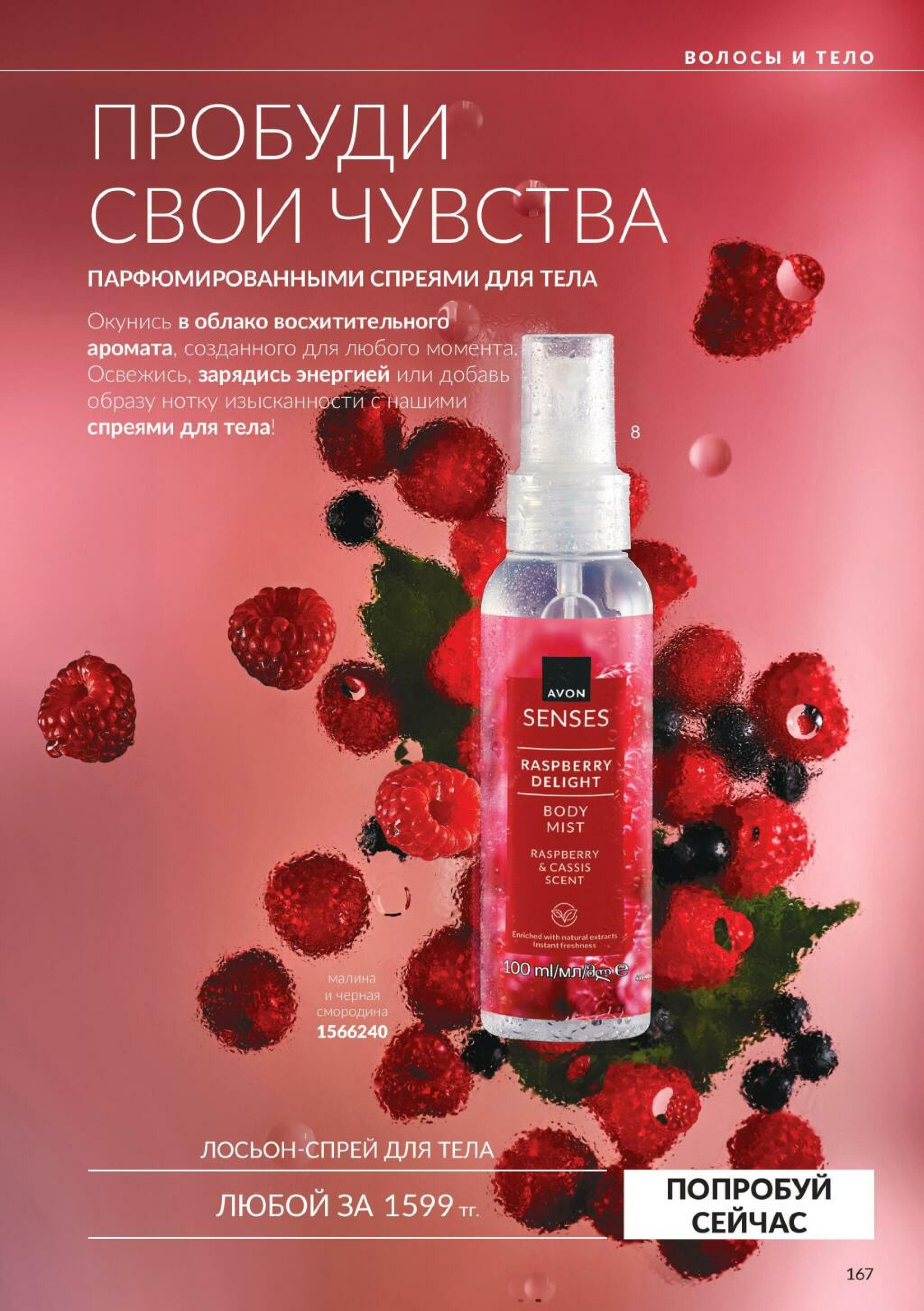 Каталог 1  - 31 Октября 2026 169