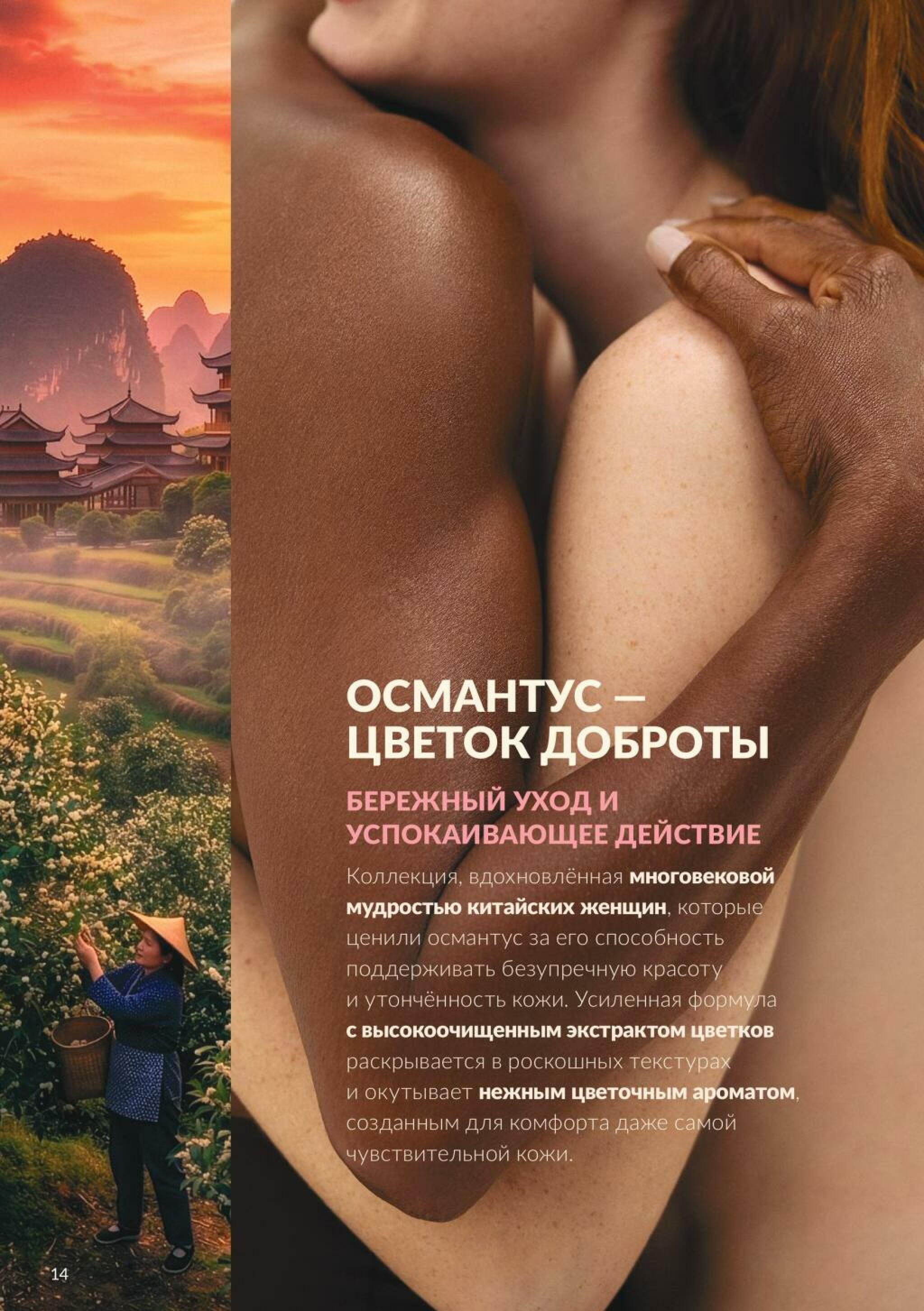 Каталог 1  - 31 Октября 2026 16
