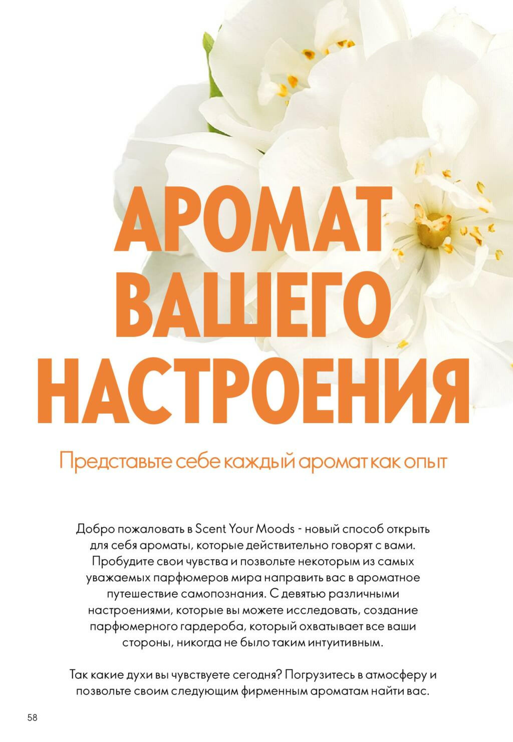 Каталог 25 Октября - 14 Ноября 2026 58